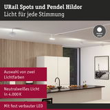 Moderne weiße URail LED-Spots an Decke in Küche mit Holzpaneelwand und schwarzer Arbeitsplatte