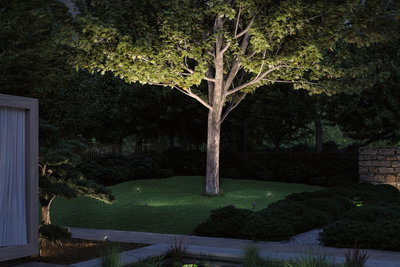 Garden with illuminated tree and LED outdoor spotlights on green lawn for atmospheric outdoor lighting.