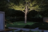 Garten mit beleuchtetem Baum und LED-Außenstrahlern auf grünem Rasen für stimmungsvolle Außenbeleuchtung.