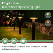 Insect-friendly garden lights with warm white light and black metal housing for outdoor use