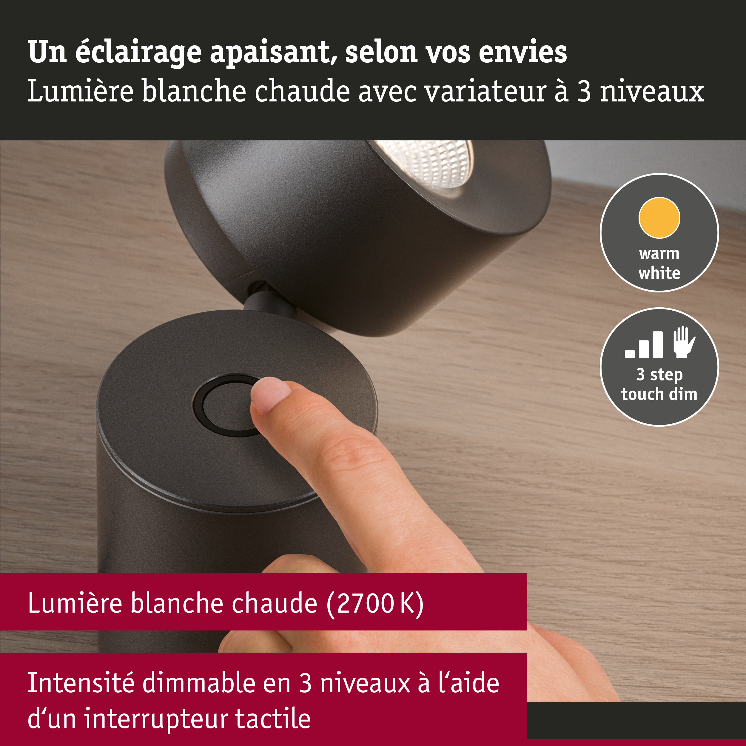 Lampe à poser LED 3-Step-Dim Pane 2700K 328lm 3W Titanium