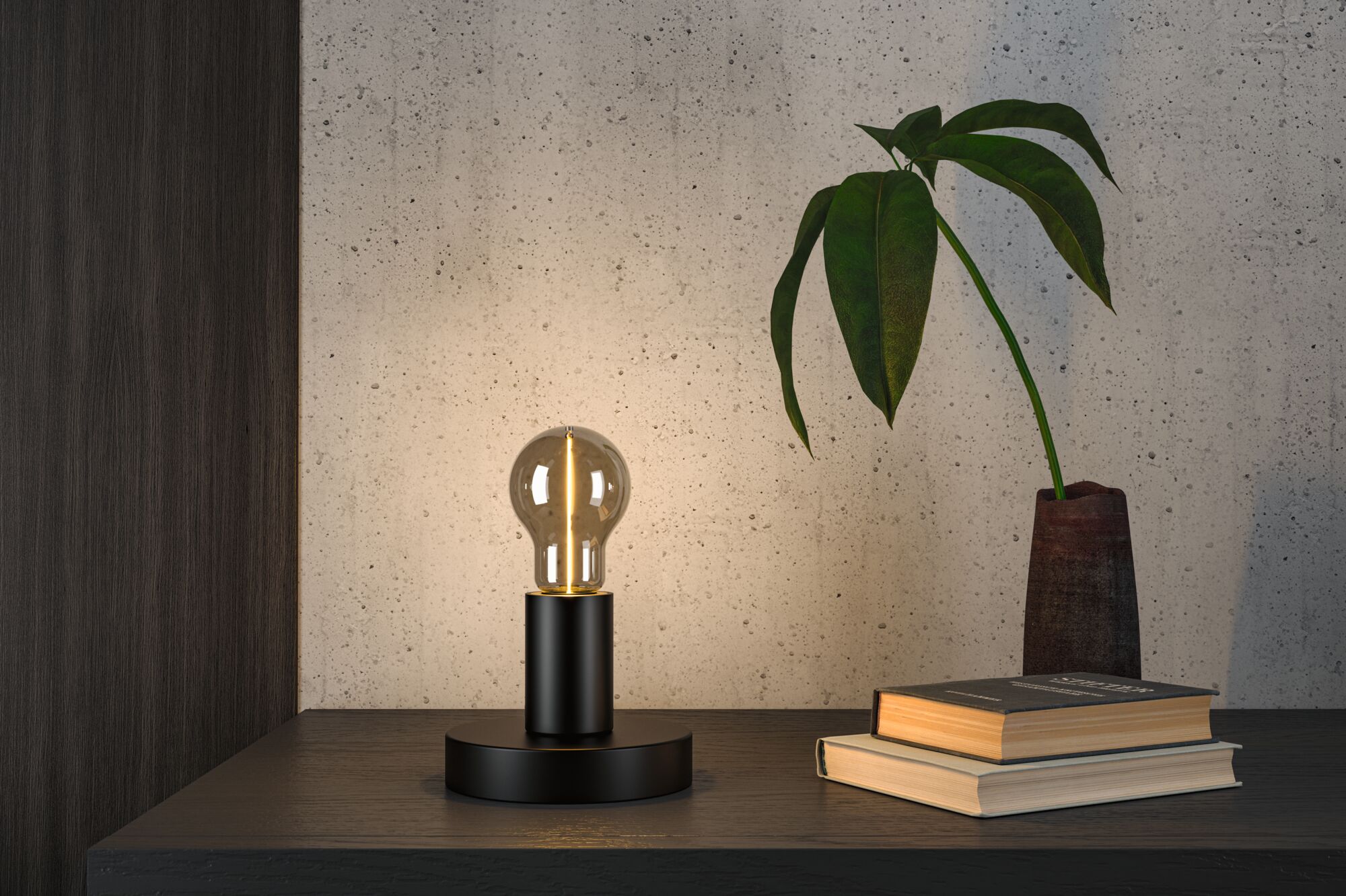 Moderne schwarze Tischlampe mit LED-Glühbirne auf dunklem Holz mit Pflanze und Büchern.