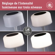 Lampe de table LED blanche avec réglage d'intensité sur trois niveaux pour éclairage intérieur