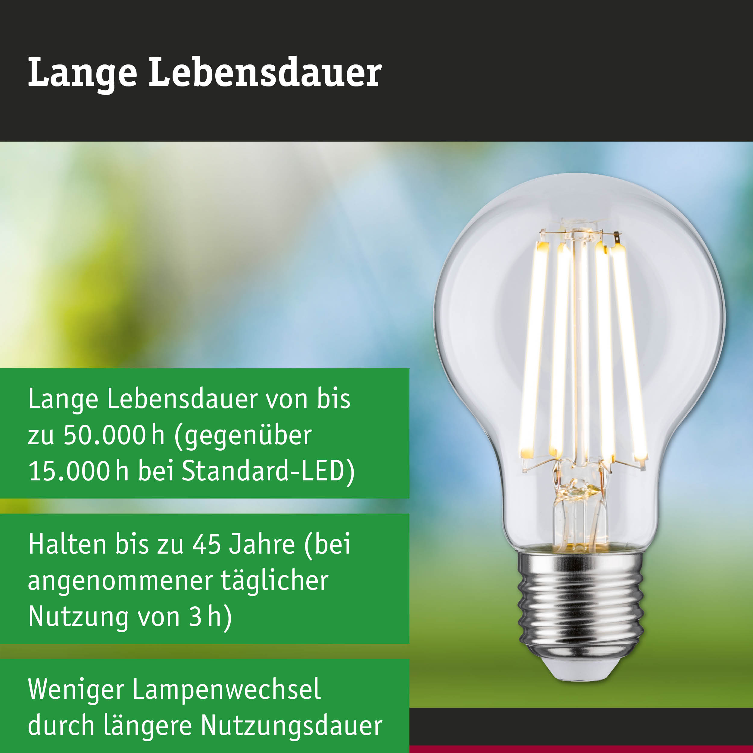 Efficient-Line Filament 230V LED Birne E27 1er-Set 840lm 4W 3000K Klar