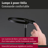 Lampe à poser Odila noire avec interrupteur tactile pour réglage continu de l'intensité lumineuse blanche