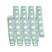 Flexible LED strip with white and green lights in transparent material for decorative lighting use