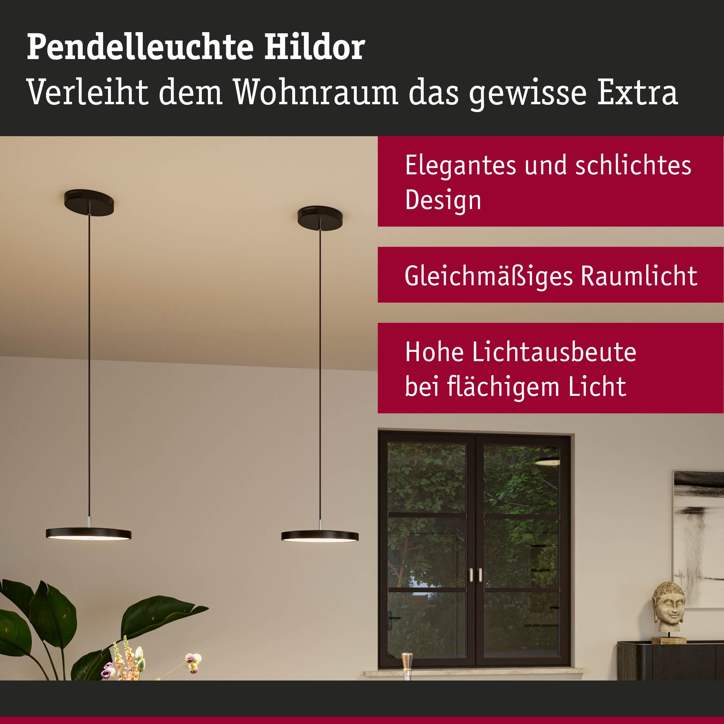 Pendelleuchte Hildor in Schwarz mit elegantem Design für gleichmäßiges Raumlicht und hohe Lichtausbeute