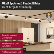 Schwarze URail Spots und Pendel Hildor mit warmweißem LED-Licht in moderner Küche mit Holzpaneelen