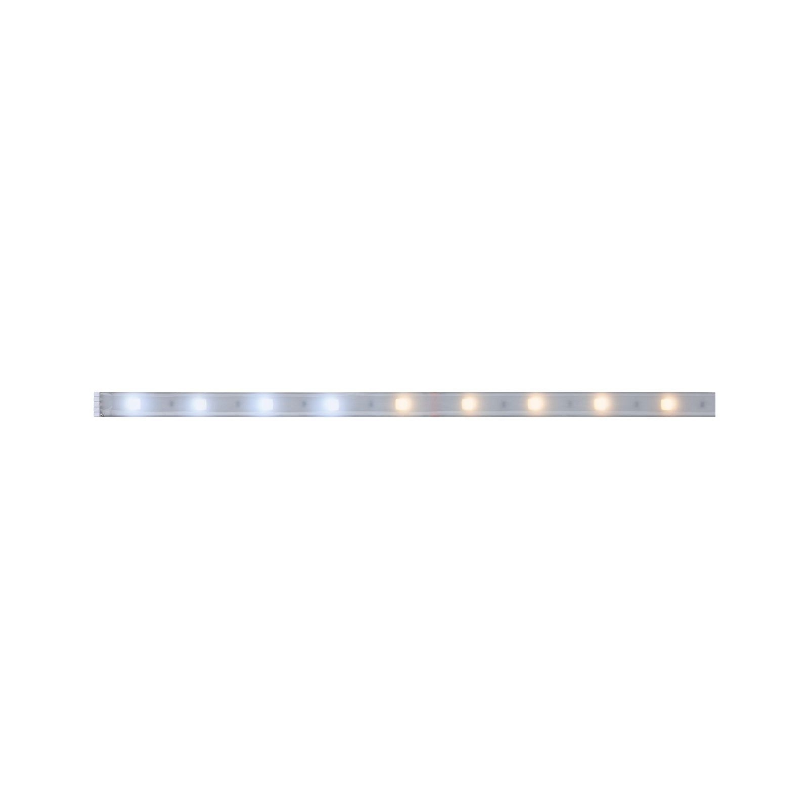 MaxLED 250 LED Strip Tunable White Einzelstripe 1m beschichtet IP44 4W 230lm/m Tunable White