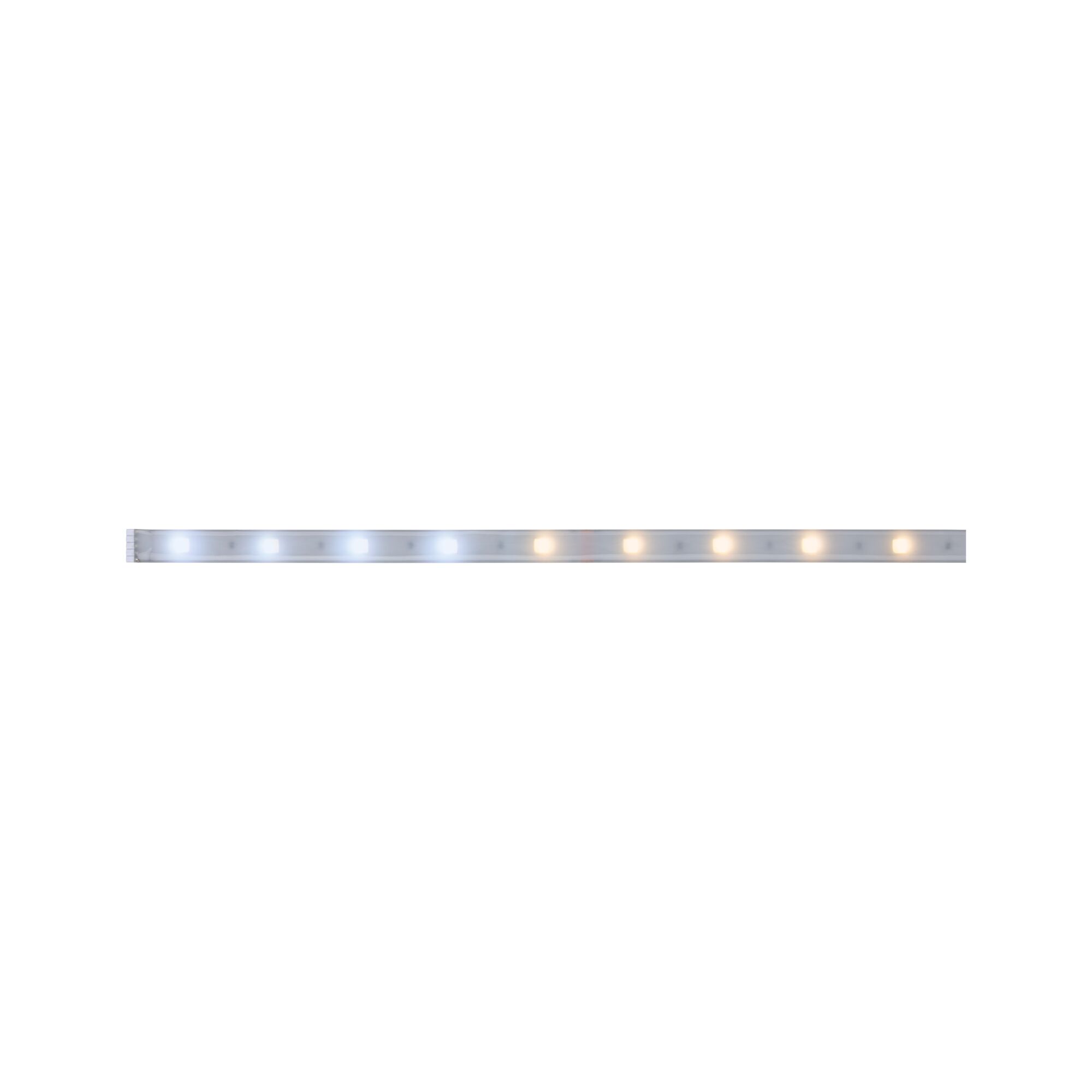 LED light strip with warm and cool white LEDs in transparent casing for versatile lighting
