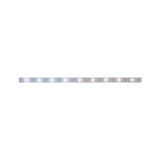 LED light strip with warm and cool white LEDs in transparent casing for versatile lighting