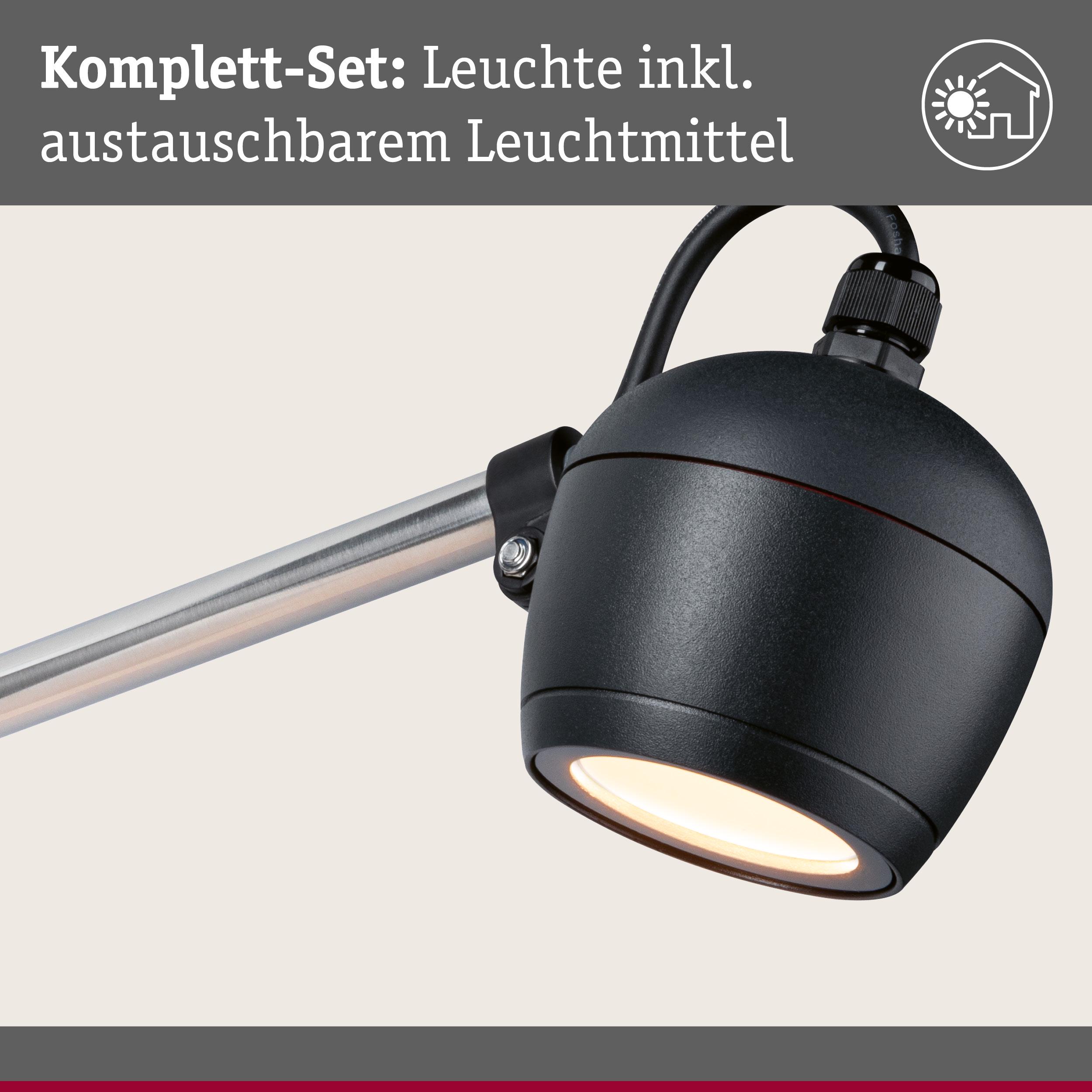 Schwarze Außenwandleuchte mit austauschbarem Leuchtmittel und silbernem Arm für Gartenbeleuchtung