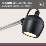 Schwarze Außenwandleuchte mit austauschbarem Leuchtmittel und silbernem Arm für Gartenbeleuchtung