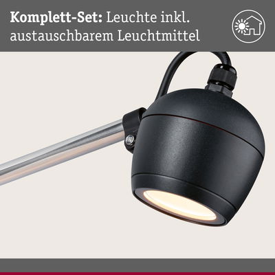 Schwarze Außenwandleuchte mit austauschbarem Leuchtmittel und silbernem Arm für Gartenbeleuchtung