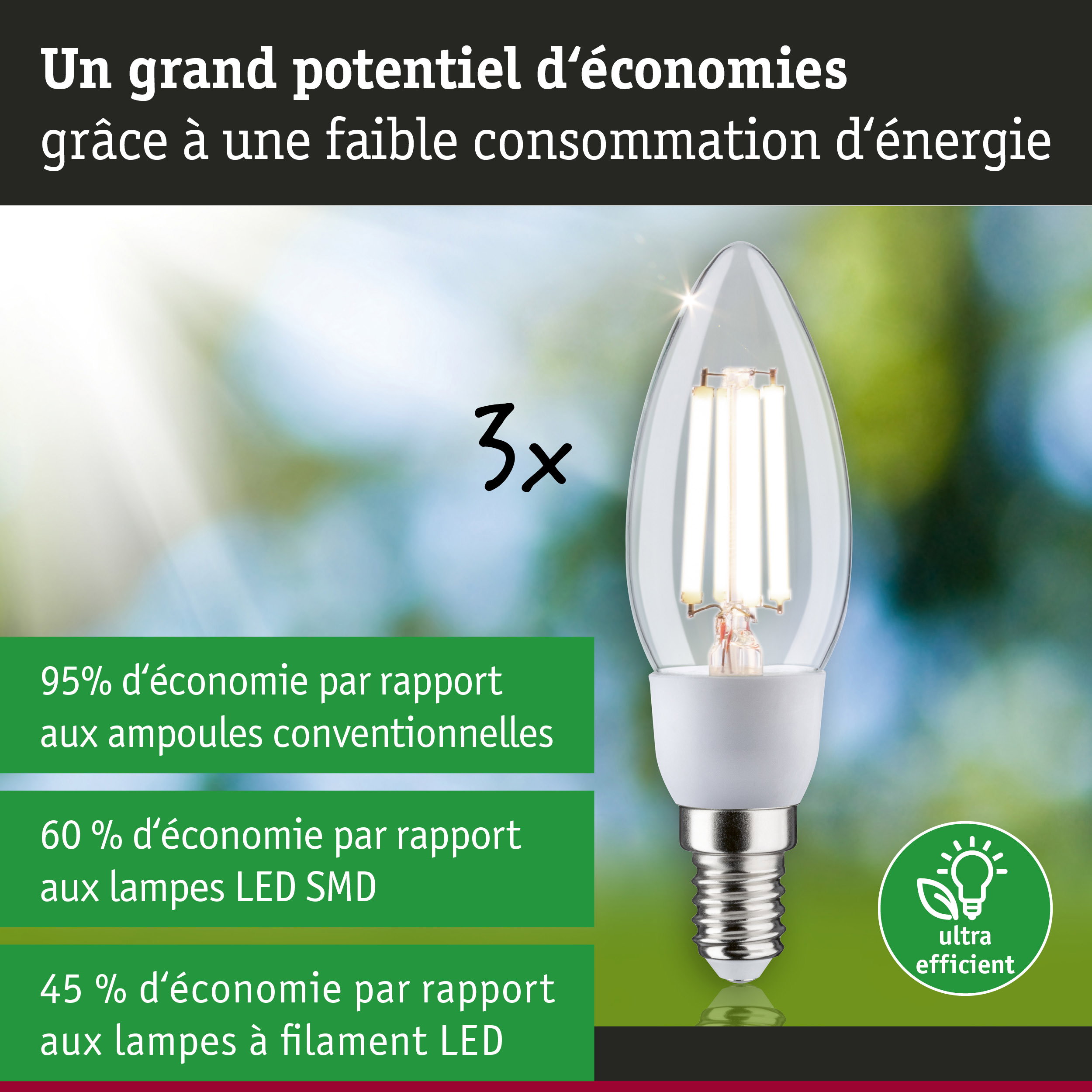 Ampoule LED bougie à verre transparent avec culot E14, faible consommation d'énergie et éclairage efficace