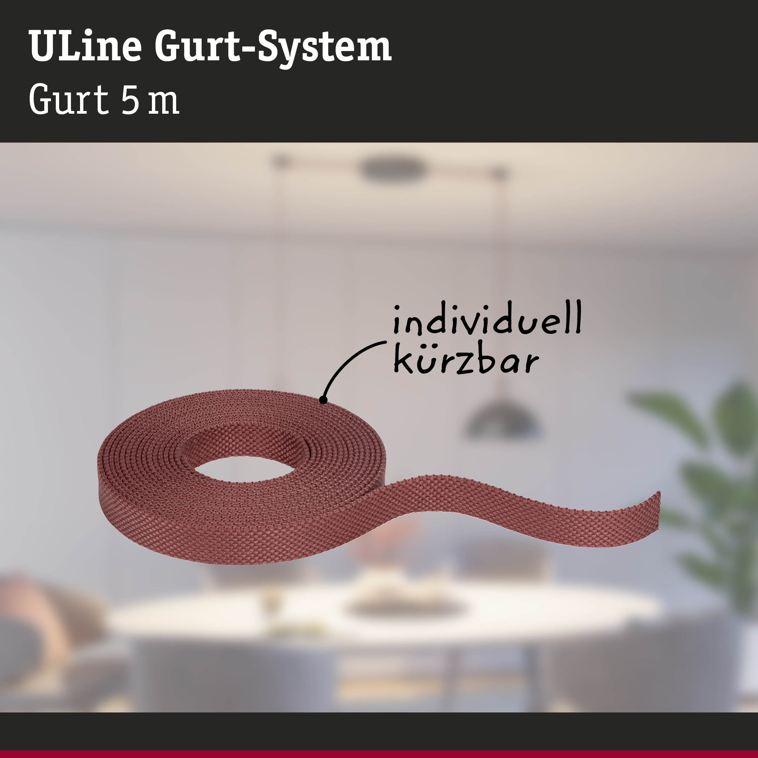 Rotes 5 Meter langes ULine Gurt-System aus robustem Material für flexible Befestigung und Sicherung