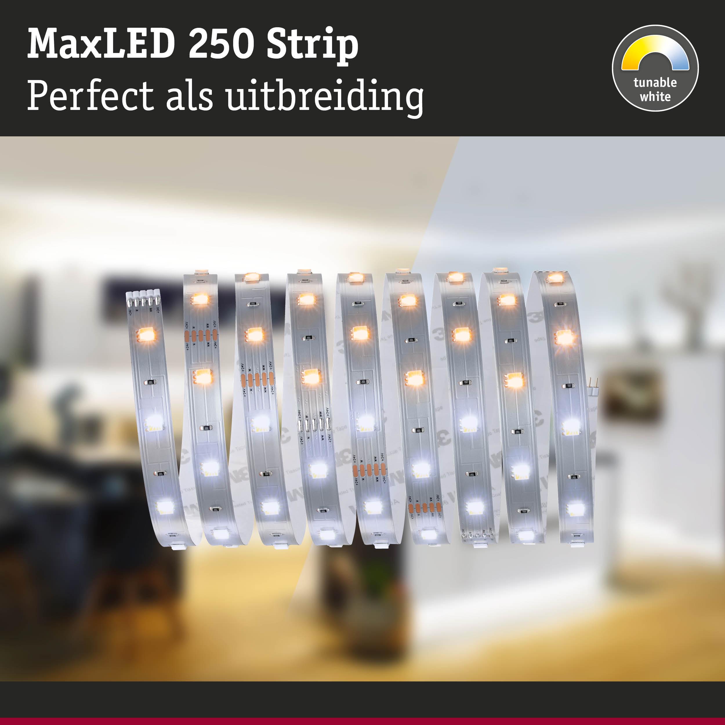 MaxLED 250 Strip LED-lichtstrip met instelbaar wit voor flexibele verlichting thuis
