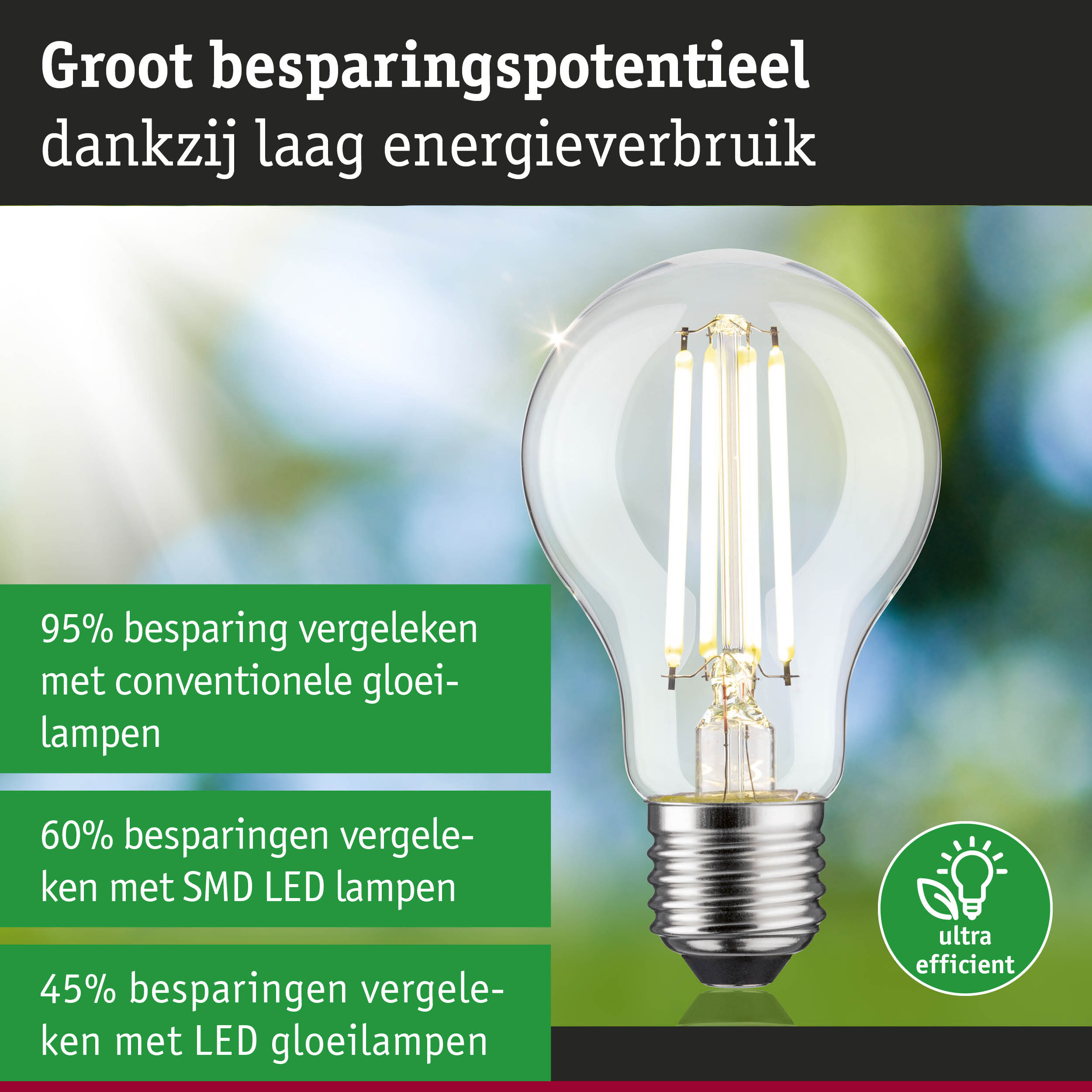Energiezuinige LED-lamp met helder glas en zilveren fitting voor duurzame verlichting