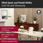 Moderne Pendelleuchten in Grau mit neutralweißem Licht über Esstisch in stilvollem Esszimmer