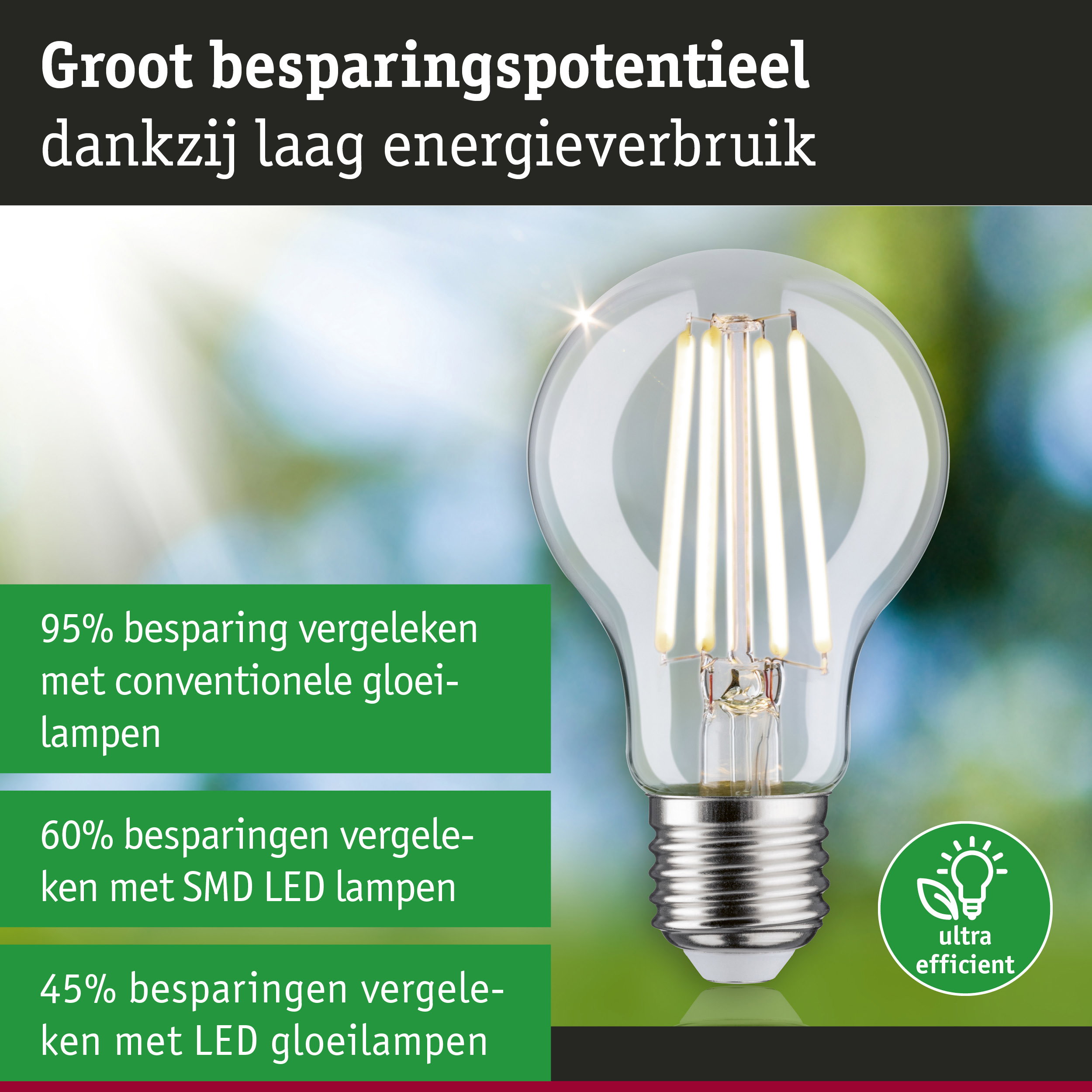 Energiezuinige LED-lamp met helder glas en zilveren fitting tegen groen-blauwe achtergrond