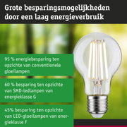 Energiezuinige LED-lamp met helder glas en zilveren fitting tegen groen-blauwe achtergrond
