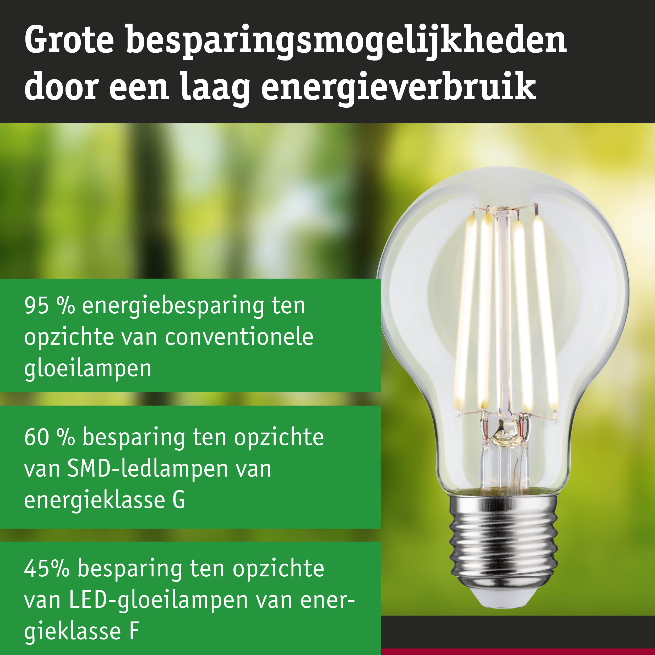 Energiezuinige LED-lamp met helder glas en zilveren fitting tegen groen-blauwe achtergrond