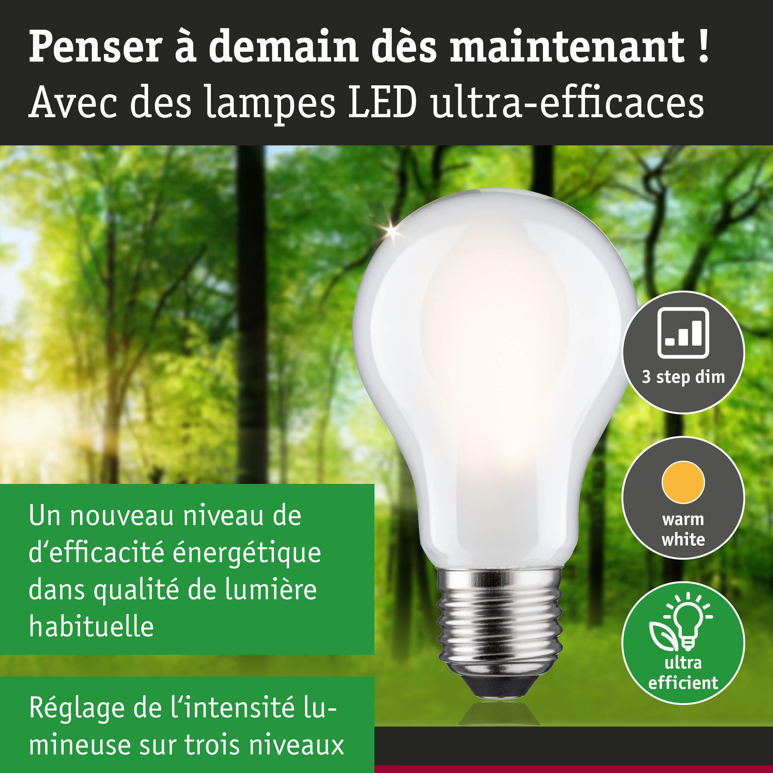 Ampoule LED blanche avec lumière blanc chaud et réglage d’intensité sur trois niveaux, efficace énergétiquement
