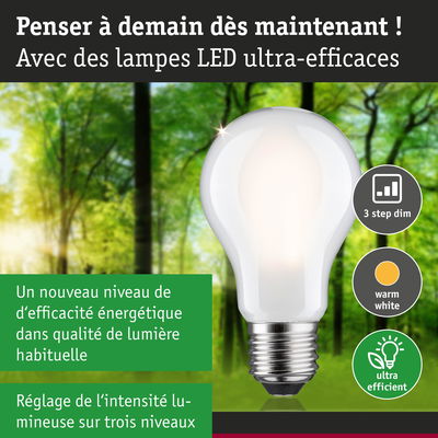 Ampoule LED blanche avec lumière blanc chaud et réglage d’intensité sur trois niveaux, efficace énergétiquement