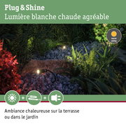 Projecteur extérieur avec lumière blanc chaud dans jardin avec pierres et plantes pour éclairage d'ambiance