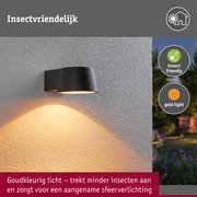 LED-wandarmatuur voor buiten Capea insectvriendelijk IP44 96x128mm 2200K 6W 550lm 230V 98° Antraciet Aluminium