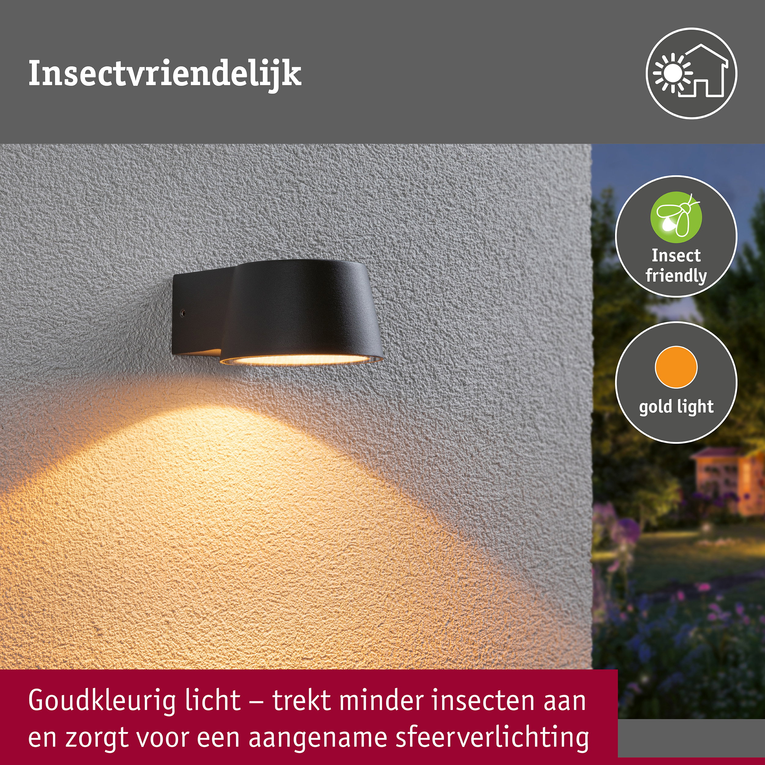 LED-wandarmatuur voor buiten Capea insectvriendelijk IP44 96x128mm 2200K 6W 550lm 230V 98° Antraciet Aluminium