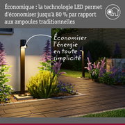 Lampe extérieure LED noire moderne dans un jardin avec technologie économique et plantes décoratives