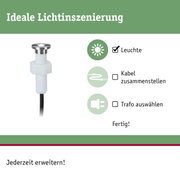 Kompakte LED-Leuchte mit Edelstahlkopf und weißem Kunststoffgewinde für flexible Lichtinszenierung