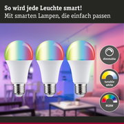 Drei dimmbare RGBW LED-Lampen mit weißem Sockel und buntem Leuchtkopf für smarte Beleuchtung