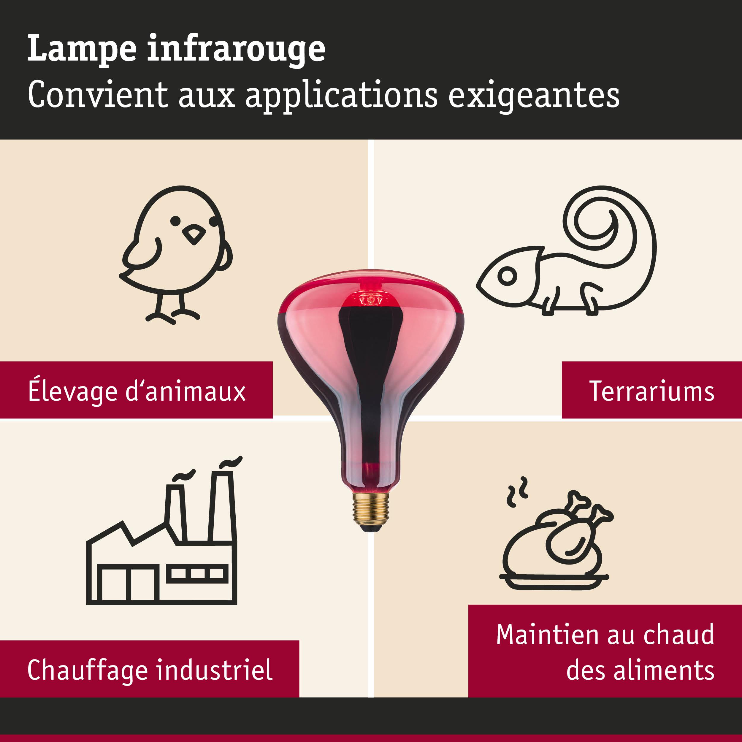 Lampe infrarouge rouge adaptée à l’élevage d’animaux, terrariums, chauffage industriel et maintien au chaud des aliments