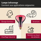 Lampe infrarouge rouge adaptée à l’élevage d’animaux, terrariums, chauffage industriel et maintien au chaud des aliments