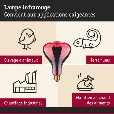 Lampe infrarouge rouge adaptée à l’élevage d’animaux, terrariums, chauffage industriel et maintien au chaud des aliments