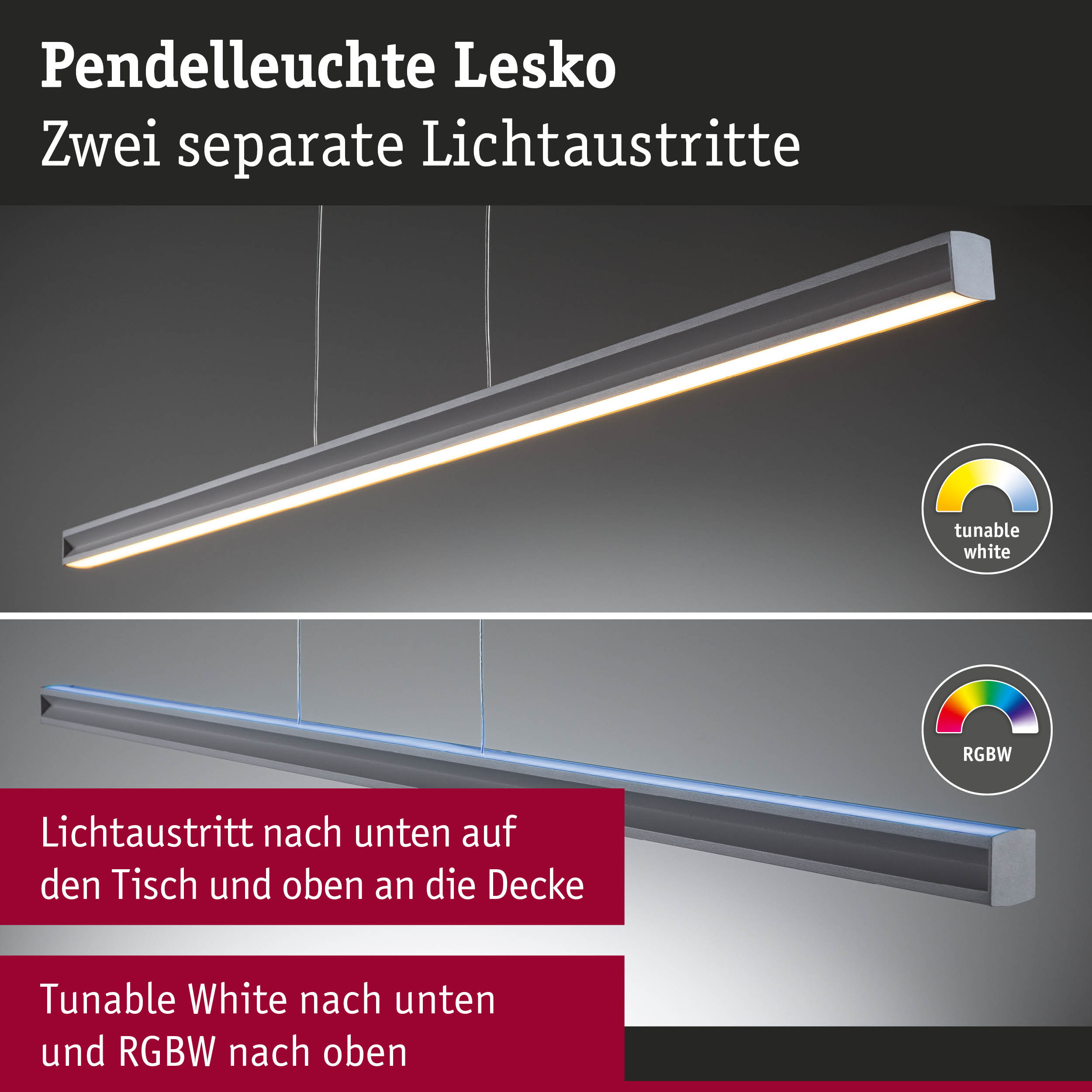 Pendelleuchte Lesko aus Aluminium in Grau mit zwei Lichtaustritten und RGBW LED-Farbsteuerung