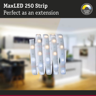 MaxLED 250 Strip flexible LED light strip with tunable white for indoor lighting