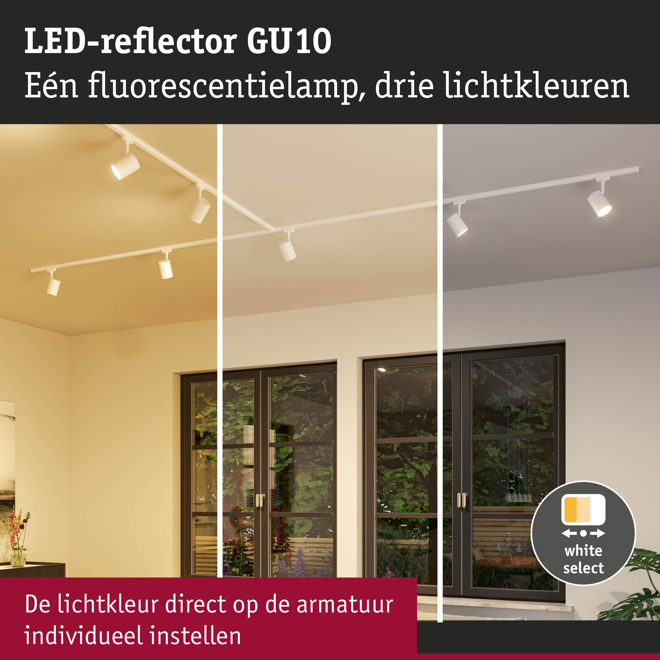 LED-reflector GU10 met instelbare witte lichtkleur voor persoonlijke kamerverlichting
