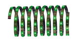 Green LED light strip on flexible plastic band for decorative lighting use.