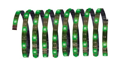 Green LED light strip on flexible plastic band for decorative lighting use.