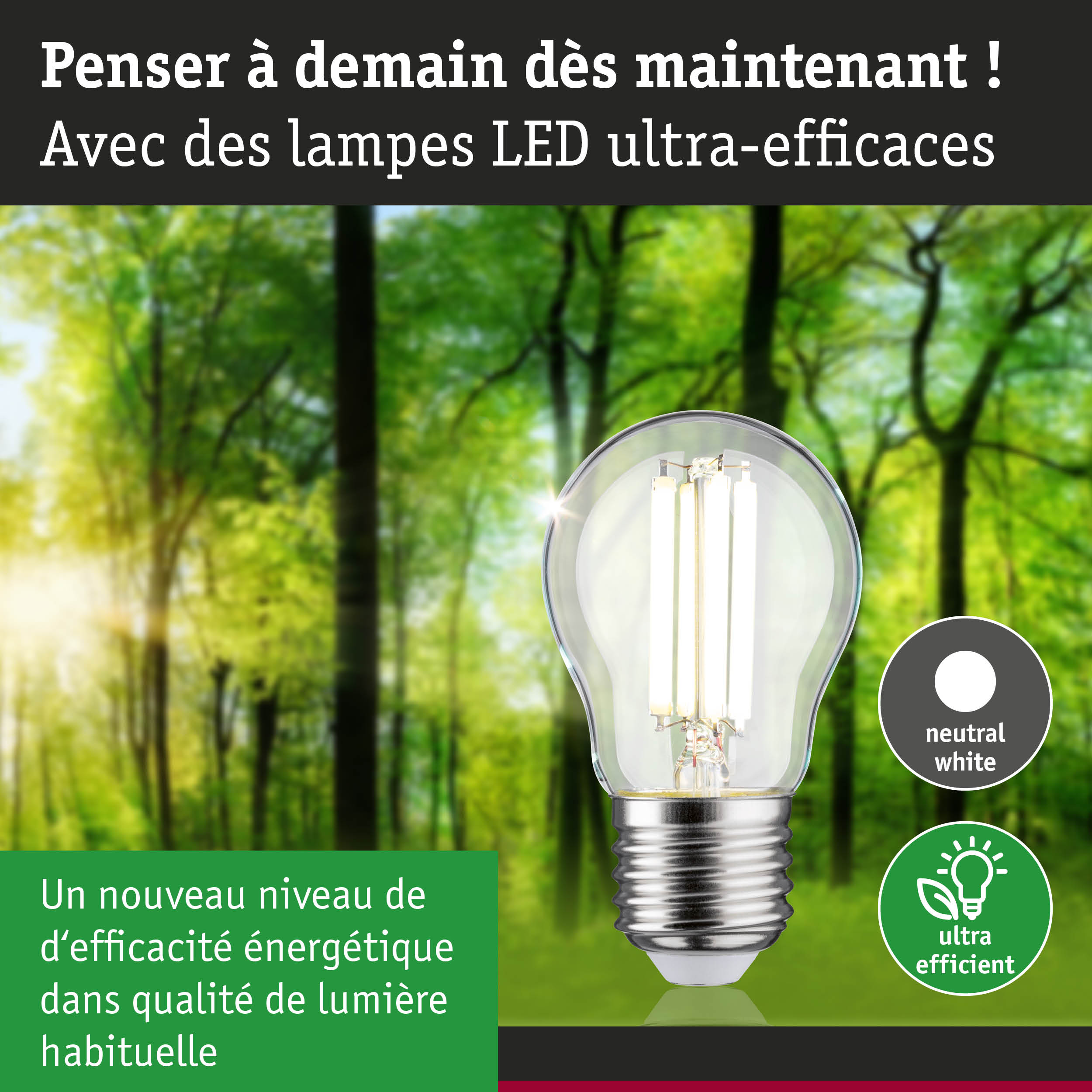 Ampoule LED lumière blanc neutre ultra-efficace en énergie sur fond de forêt verte
