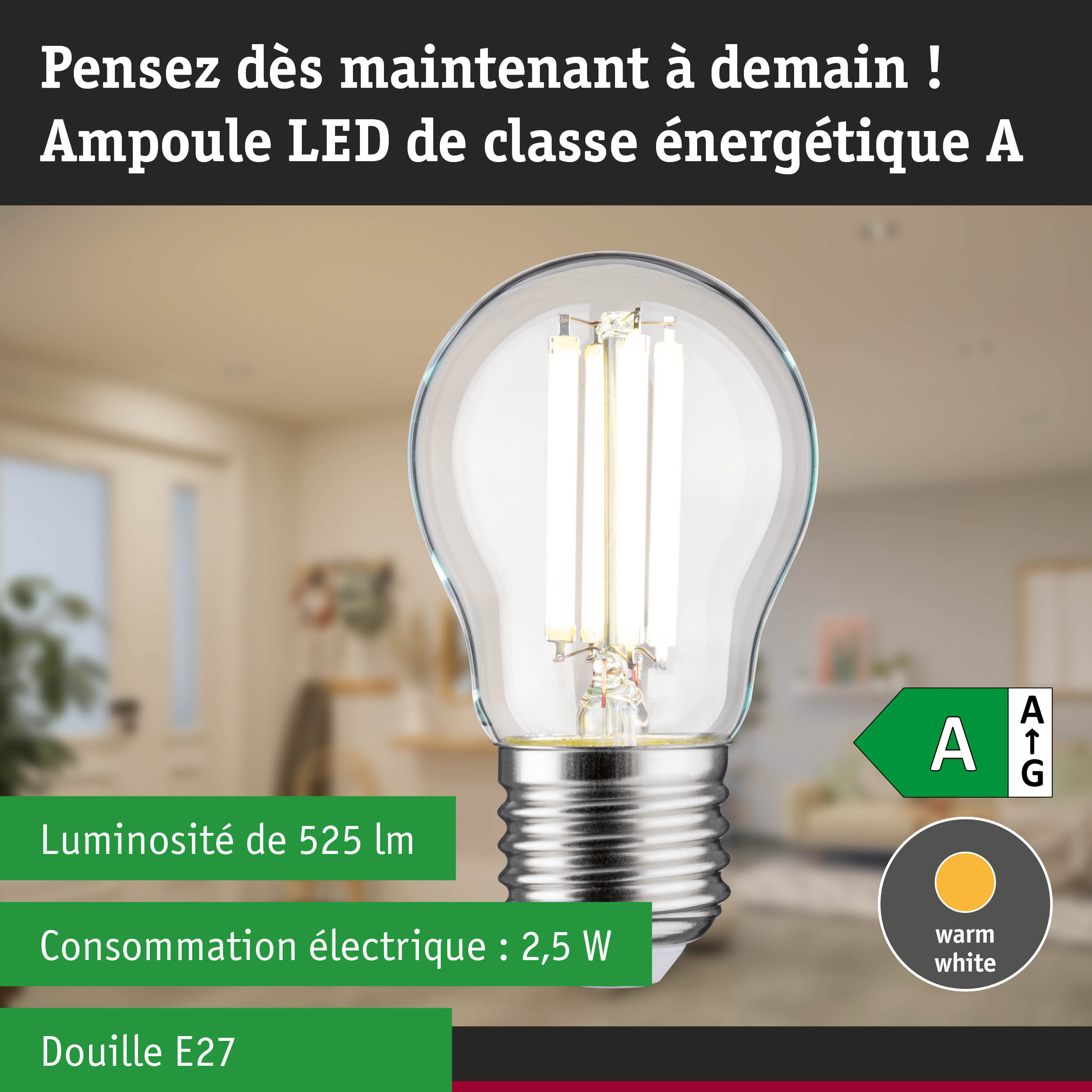 Ampoule LED lumière blanc neutre ultra-efficace en énergie sur fond de forêt verte