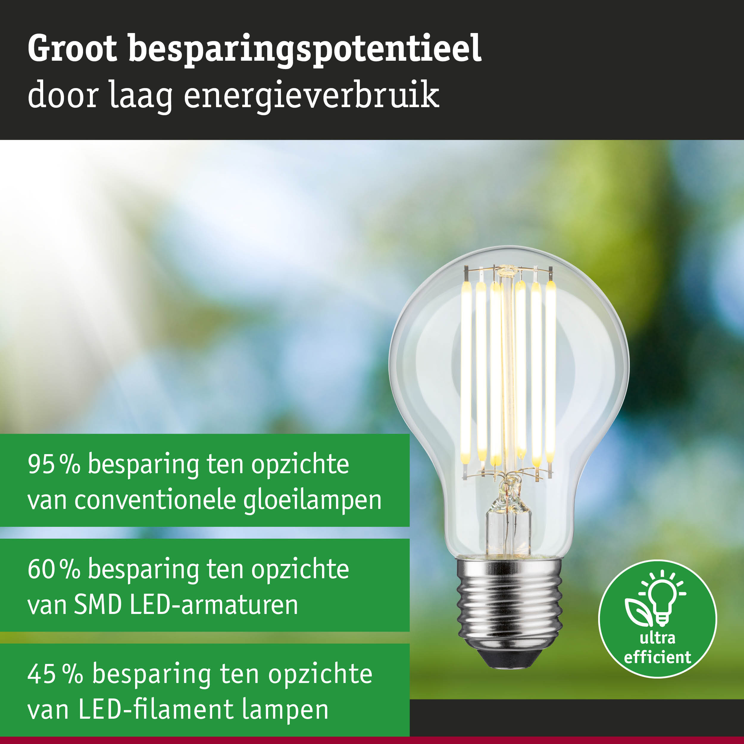 Energiezuinige LED-filamentlamp met helder glas en zilveren voet voor efficiënte verlichting