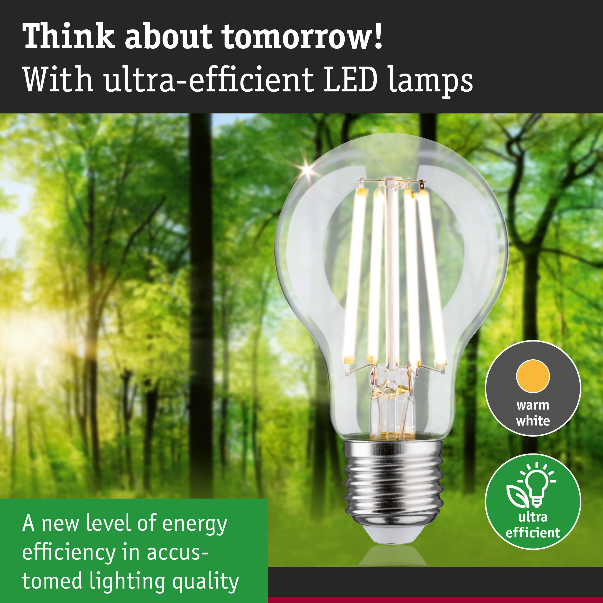 LED light bulb with warm white glow and ultra-efficient energy use against green forest background