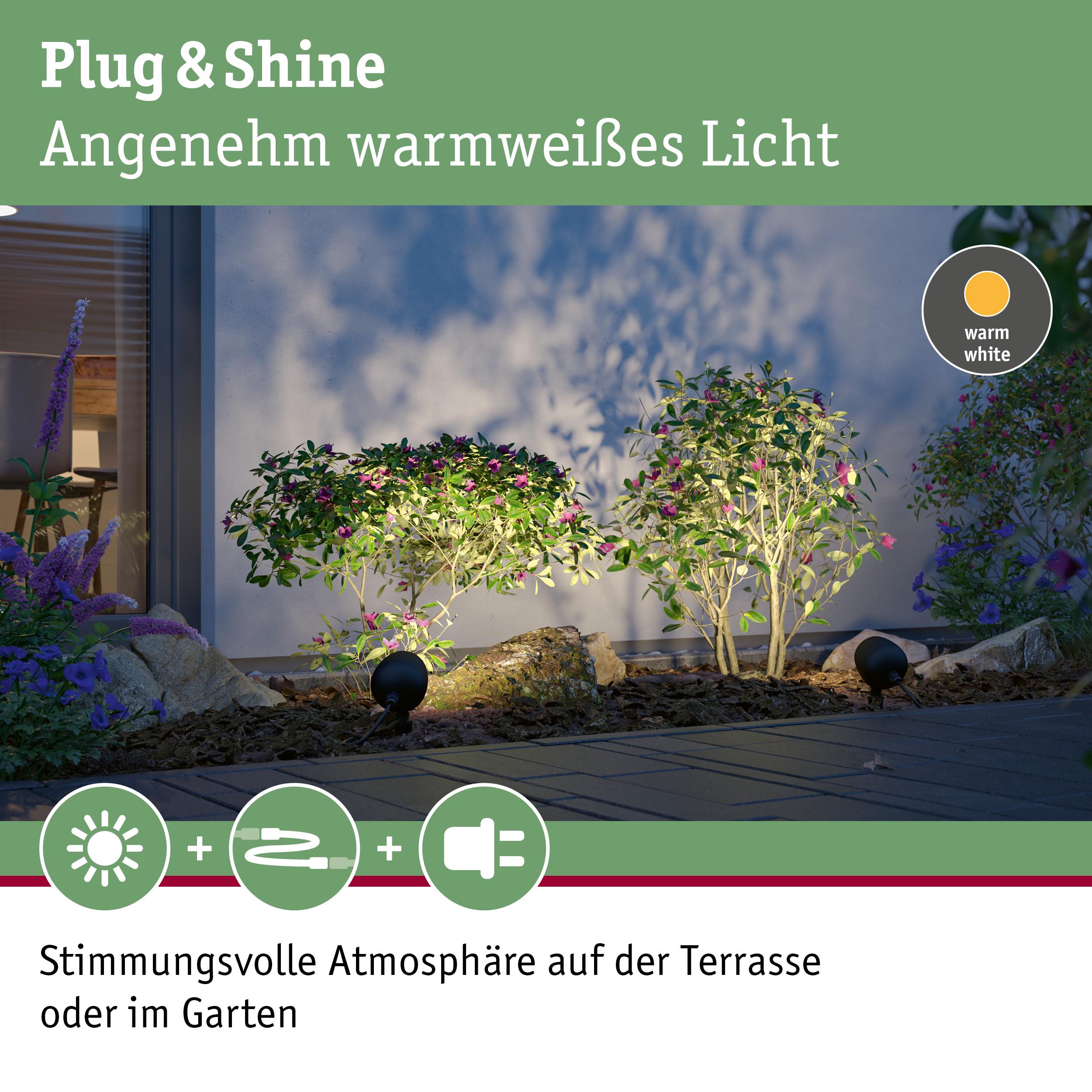 Warmweißes Plug & Shine Gartenlicht beleuchtet Pflanzen und schafft stimmungsvolle Atmosphäre im Außenbereich