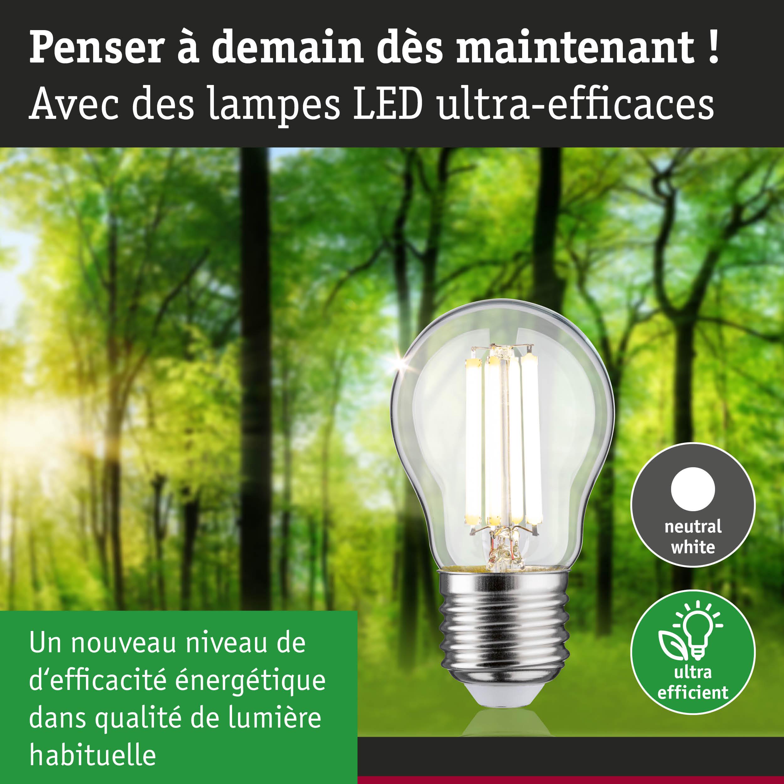 Ampoule LED à lumière blanc neutre et ultra-efficace devant un fond de forêt verte