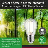 Ampoule LED à lumière blanc neutre et ultra-efficace devant un fond de forêt verte