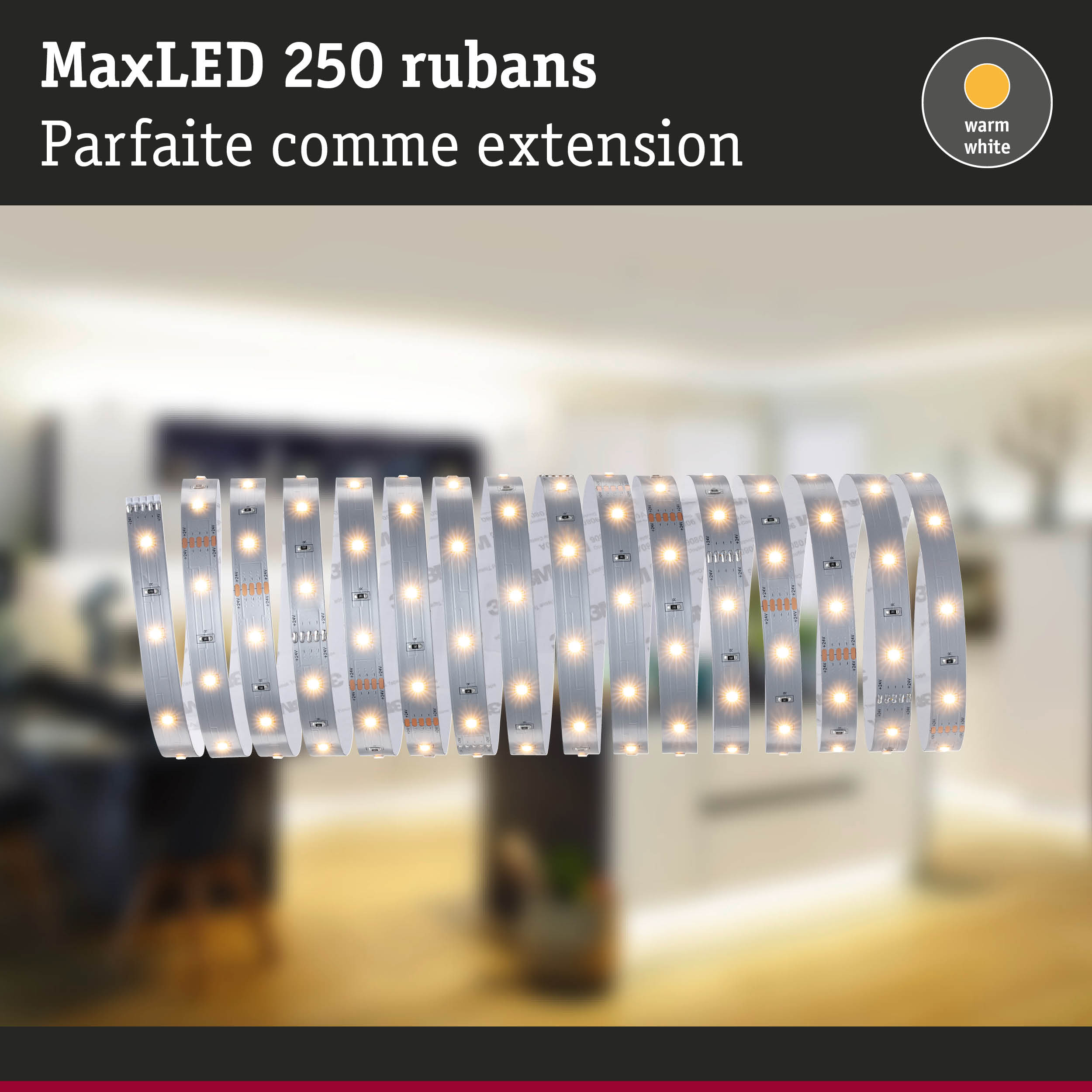 Bande LED MaxLED 250 blanc chaud avec circuit flexible blanc pour éclairage intérieur